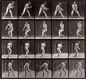Images Dated 16th November 2007: 'Animal Locomotion' (plate 288): sequence of a nude man playing with a little ball