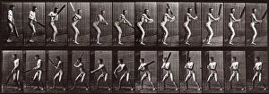 Images Dated 16th November 2007: 'Animal Locomotion' (plate 293): sequence of a nude man with a cricket bat