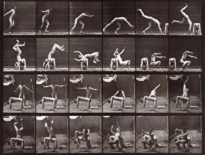 Images Dated 16th November 2007: 'Animal Locomotion' (plate 364): sequence with nude man overtaking another man whilst performing a