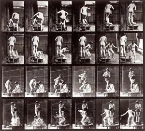 Images Dated 3rd December 2007: 'Animal Locomotion' (plate 407): sequence with two naked girls pouring water