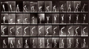 Images Dated 26th February 2008: 'Animal Locomotion' (plate 488): sequence with a naked man playing with a tennis racquet