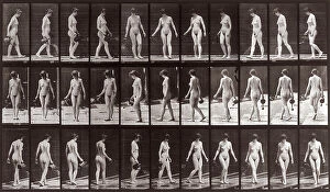 Images Dated 3rd December 2007: 'Animal Locomotion' (plate 51): sequence of nude woman walking with a watering can in her hand