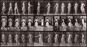 Images Dated 3rd December 2007: 'Animal Locomotion' (plate 53): sequence of woman throwing a sprig of leaves whilst walking