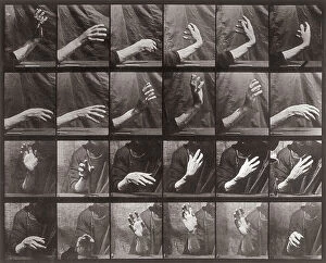 Images Dated 7th March 2008: 'Animal Locomotion' (plate 535: sequence with hand movement