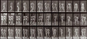 Images Dated 3rd December 2007: 'Animal Locomotion' (plate 54): sequence of two nude women walking with fans in their hands