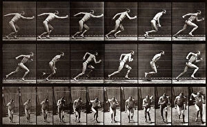 Featured Collection: 'Animal Locomotion' (plate 59): sequence with a running man