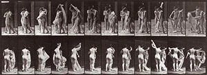 Images Dated 3rd December 2007: 'Animal Locomtion' (plate 428): sequence with two naked girls moving a drape