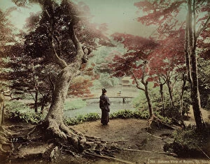 Images Dated 1st September 2011: Autumn view of maples, Oji Garden, Tokyo. A woman in a kimono, with her back turned