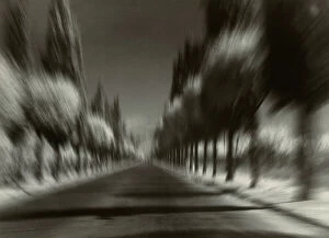 Images Dated 3rd December 2010: An avenue with cypresses