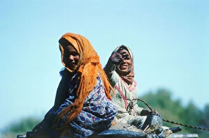 Images Dated 10th October 2011: Banana island of Upper Egypt; girls on camels along the fields where sugar cane vcoltiva