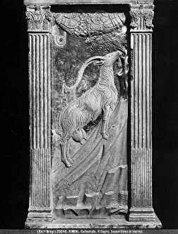 Images Dated 26th November 2009: Bas relief depicting a goat, allegory of the sign of the zodiac, Capricorn