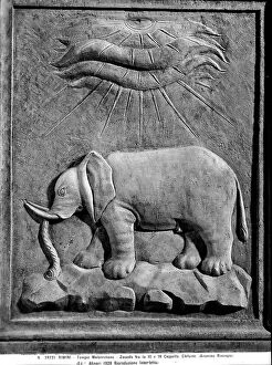 Images Dated 3rd April 2012: Bas-relief with elephant in the base between the third and fourth chapel in Malatestiano Temple in