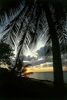 Images Dated 15th December 2009: Beautiful sunset on the beach among the palm trees