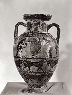 Images Dated 15th February 2008: Black-figure Attic amphora, in the G.A. Sanna National Museum in Sassari