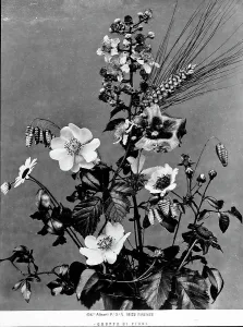 Blume Drucke: Blumen in einem Vasen