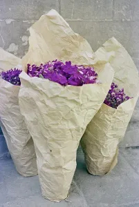 Blume Drucke: Blumensträuße
