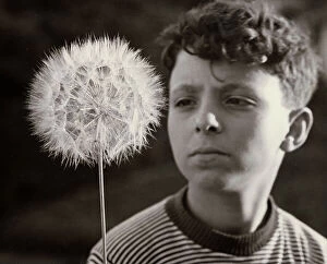 Images Dated 24th November 2010: A boy that looks at a dandelion