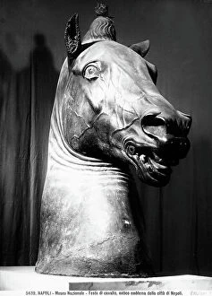 Images Dated 27th May 2008: Bronze horse's head from the courtyard of the Carafa Palace, now the Santangelo Palace