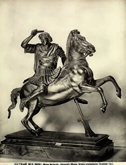 Images Dated 24th March 2010: Bronze sculpture of Alexander the Great battling on horseback, at the National Museum in Naples