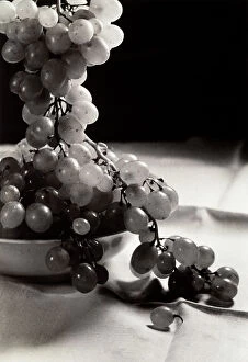 Images Dated 23rd March 2009: A bunch of grapes hanging out of the fruit bowl. Postcard sent by the author to Vincenzo Balocchi