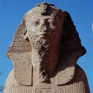 Images Dated 5th December 2011: Cairo: Archaeological Museum outside of Cairo, head of a pink granite statue of a pharaoh