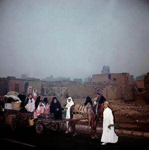 Images Dated 21st December 2011: Cairo. Market at dawn with the arrival of the wagons from the land