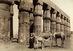 Images Dated 2nd September 2009: Camel trader in front of a colonnade of the courtyard of the festivals of Amenhotep III