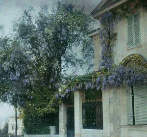 Flor Imprime: Cannes