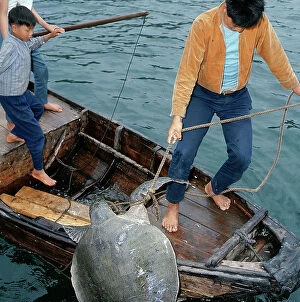 Images Dated 30th October 2009: Canton. Fishing on a junk of the'Tankia', an ethnic minority of the south