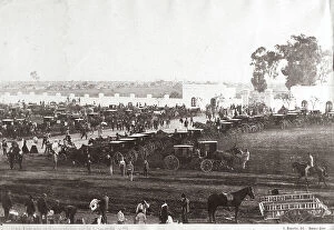Images Dated 28th November 2007: Carriages and horses parked outside Chacarita Cemetery, Buenos Aires, Argentina