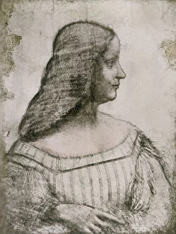 Images Dated 23rd May 2008: Cartoon for the portrait of Isabella d'Este, charcoal drawing on white paper, by Leonardo da Vinci