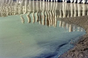 La Rivière Bagnasciuga de Cecina