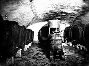Images Dated 23rd March 2009: The cellar of the Villa La Fonte, property of Dufour-Bert. In the photograph, some casks