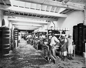 Images Dated 1st December 2010: Ceramics production in the Ginori Factory of Doccia: interior of a division