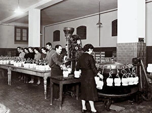 Images Dated 19th September 2011: Chianti. Wine being bottled in flasks in the castle of Brolio