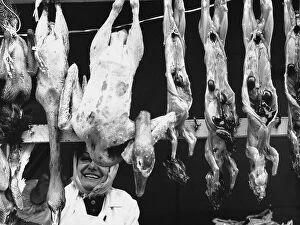 Images Dated 9th October 2008: Chickens and rabbits exposed in a butcher shop