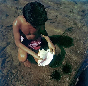 Images Dated 18th January 2012: A child with a shell Polynesian pahua, les Sous-le-Vent, Society Islands