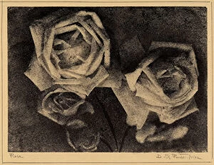 Images Dated 17th December 2008: Close-up of four roses, taken by Peretti-Griva, particularly effective artistically in