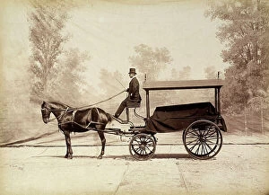 Images Dated 13th May 2011: Coachman driving a hearse