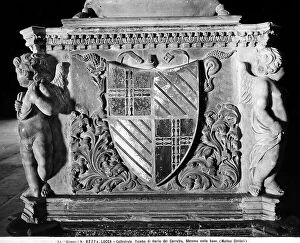 Images Dated 18th April 2012: Coat of arms by Matteo Civitali, at the base of the Funeral Monument to Ilaria del Carretto