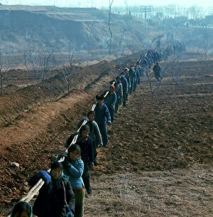 Images Dated 12th April 2012: Collective work to place a telephone line, 1969, Peking (Beijing)