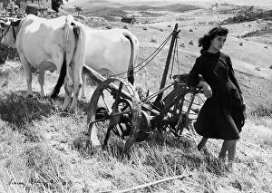 Images Dated 15th March 2010: 'Colli senesi', portrait of young woman leaning against a plow