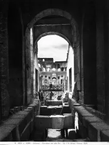 Roma Stampe: Colosseo