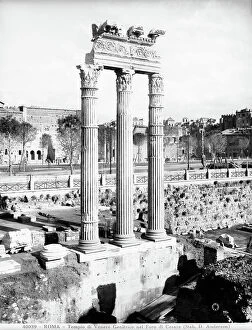 Images Dated 21st February 2012: The three columns and the trabeation of the Temple of Venus Genitrix in the Forum of Caesar, Rome