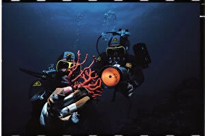 Images Dated 10th June 2008: A 'coral diver' surfacing from the deep ocean bed of Capo Caccia