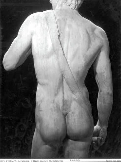 Florence Collection: David, detail of the back, Michelangelo Buonarroti, Gallery of the Academy, Florence