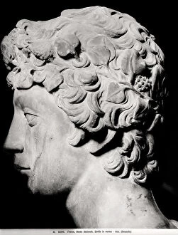 Images Dated 16th October 2009: David (detail of head), marble, Donato di Niccol di Betto Bardi, called Donatello (1386-1466)
