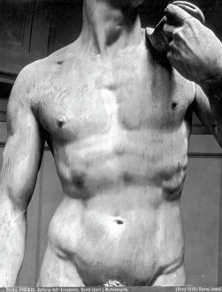 Images Dated 13th October 2006: David, detail of the marble statue by Michelangelo Buonarroti, The Academy Gallery, Florence