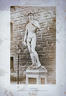 Images Dated 11th May 2010: The David of Michelangelo