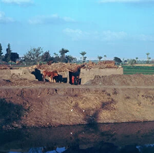 Images Dated 13th October 2011: Delta of Nile mud houses along the banks